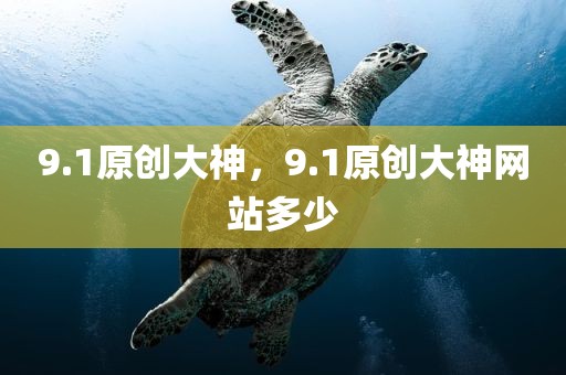9.1原创大神，9.1原创大神网站多少