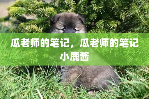 瓜老师的笔记，瓜老师的笔记小鹿酱