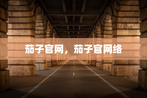 茄子官网，茄子官网络