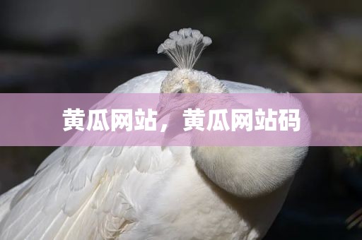 黄瓜网站，黄瓜网站码
