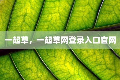 一起草，一起草网登录入口官网