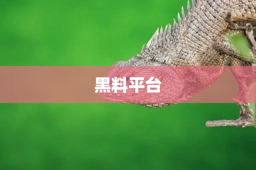 黑料平台