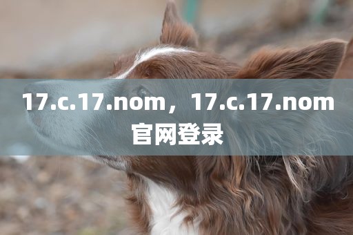 17.c.17.nom，17.c.17.nom官网登录