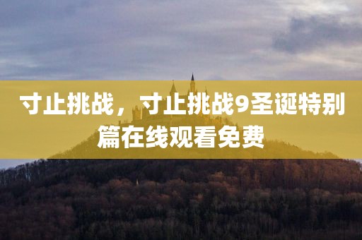 寸止挑战，寸止挑战9圣诞特别篇在线观看免费