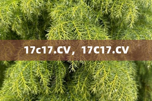 17c17.CV，17C17.CV
