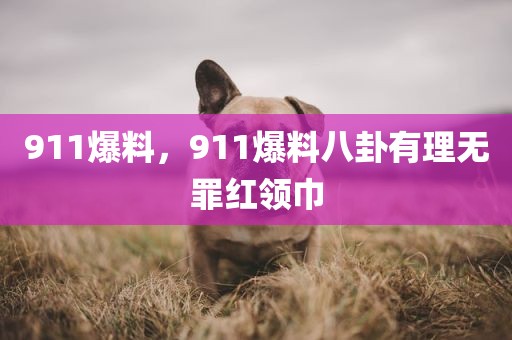 911爆料，911爆料八卦有理无罪红领巾