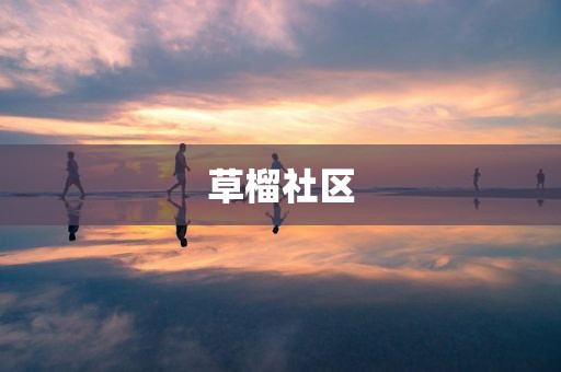 草榴社区