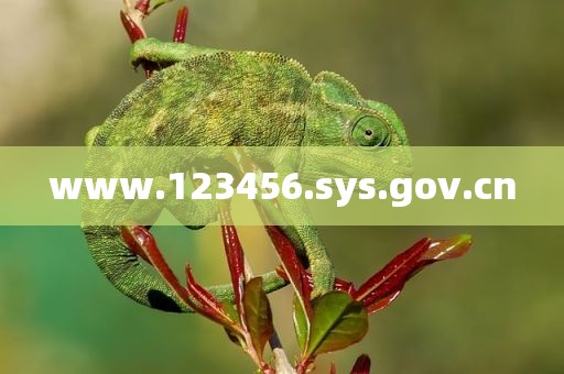 www.123456.sys.gov.cn