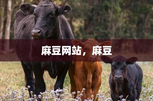 麻豆网站，麻豆