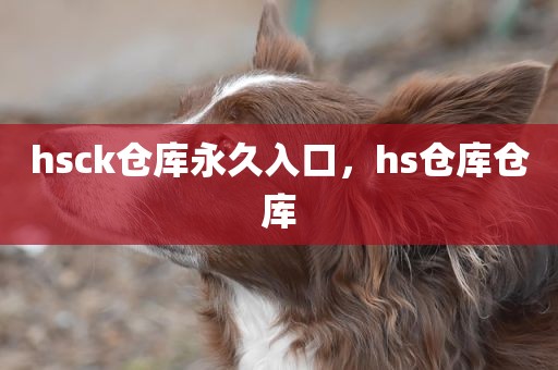 hsck仓库永久入口，hs仓库仓库