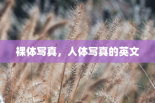 裸体写真，人体写真的英文