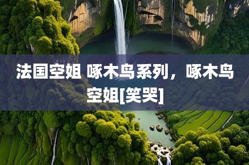 法国空姐 啄木鸟系列，啄木鸟空姐[笑哭]