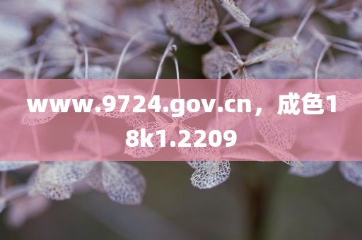 www.9724.gov.cn，成色18k1.2209