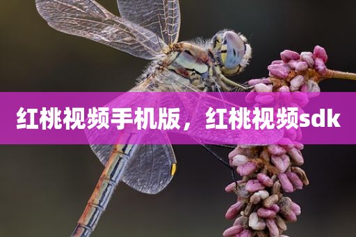 红桃视频手机版，红桃视频sdk