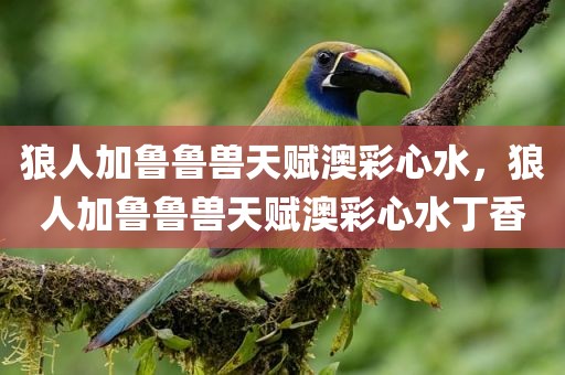 狼人加鲁鲁兽天赋澳彩心水，狼人加鲁鲁兽天赋澳彩心水丁香