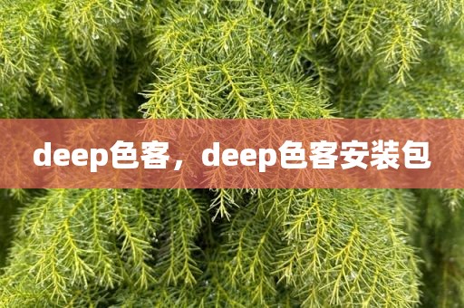 deep色客，deep色客安装包