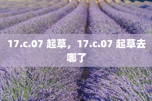 17.c.07 起草，17.c.07 起草去哪了