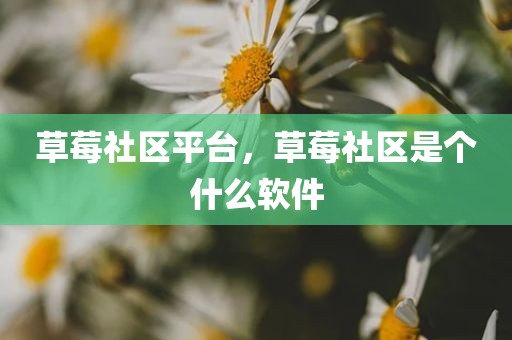 草莓社区平台，草莓社区是个什么软件