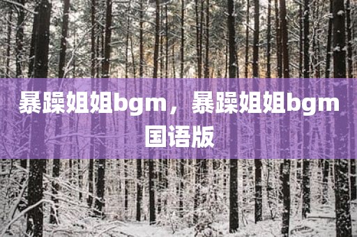 暴躁姐姐bgm，暴躁姐姐bgm国语版