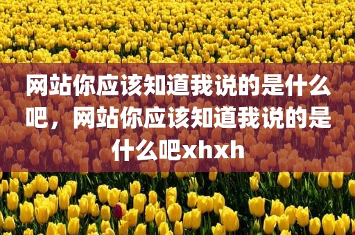 网站你应该知道我说的是什么吧，网站你应该知道我说的是什么吧xhxh