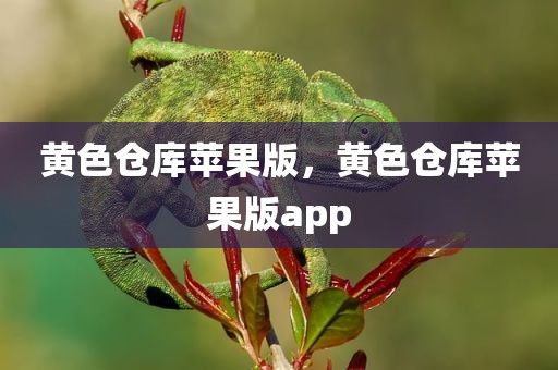 黄色仓库苹果版，黄色仓库苹果版app