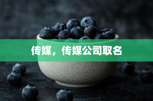 传媒，传媒公司取名