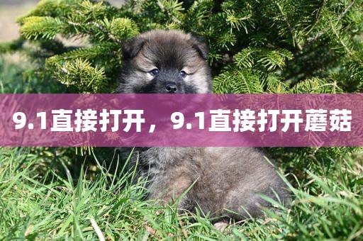 9.1直接打开，9.1直接打开蘑菇