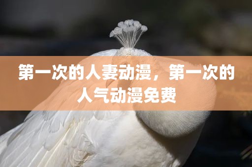 第一次的人妻动漫，第一次的人气动漫免费