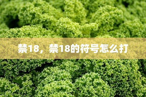 禁18，禁18的符号怎么打