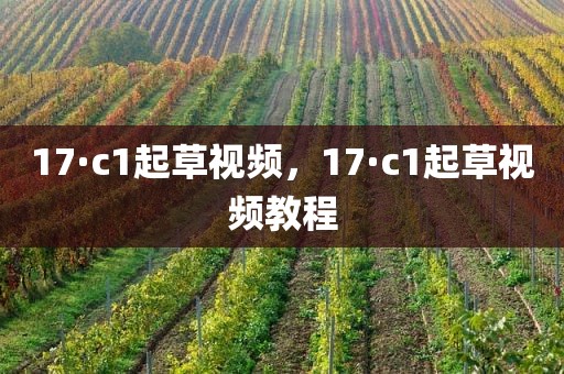 17·c1起草视频，17·c1起草视频教程