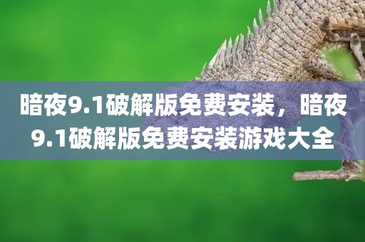 暗夜9.1破解版免费安装，暗夜9.1破解版免费安装游戏大全