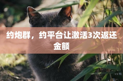 约炮群，约平台让激活3次返还金额