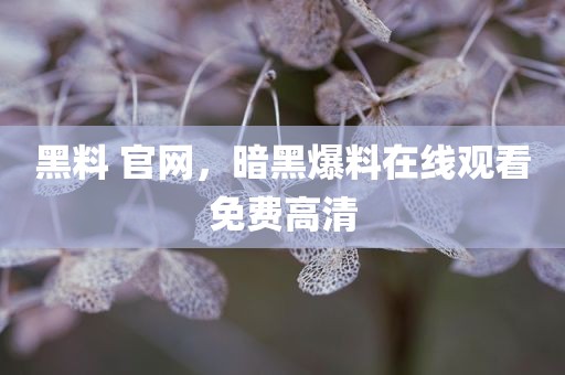 黑料 官网，暗黑爆料在线观看免费高清
