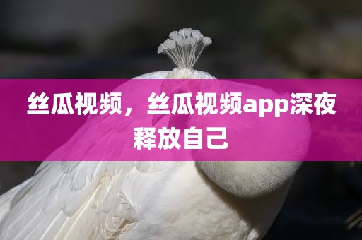 丝瓜视频，丝瓜视频app深夜释放自己