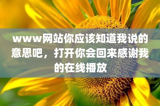 www网站你应该知道我说的意思吧，打开你会回来感谢我的在线播放