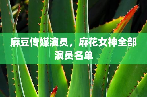 麻豆传媒演员，麻花女神全部演员名单