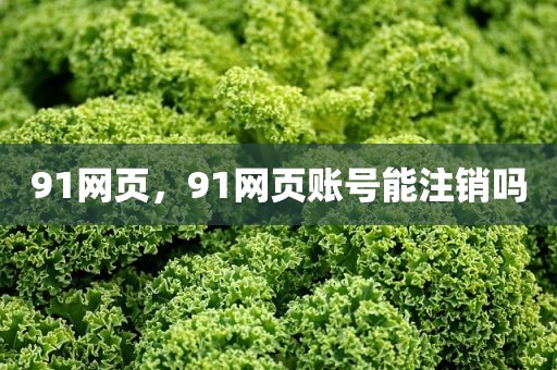 91网页，91网页账号能注销吗