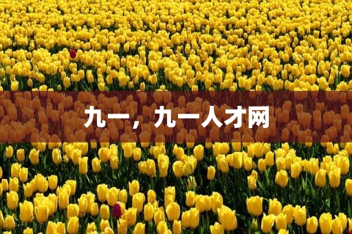 九一，九一人才网
