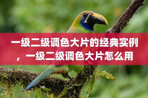 一级二级调色大片的经典实例，一级二级调色大片怎么用