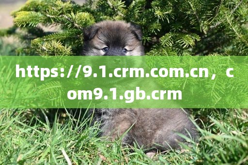 https://9.1.crm.com.cn，com9.1.gb.crm