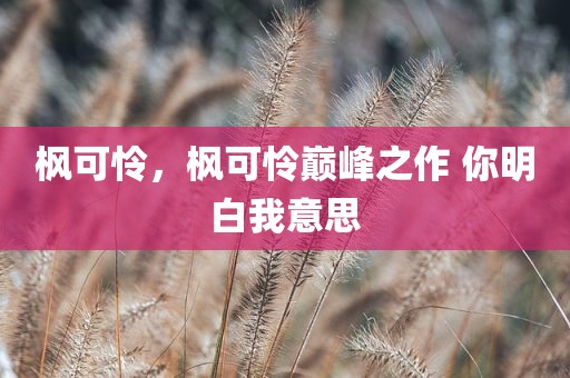 枫可怜，枫可怜巅峰之作 你明白我意思