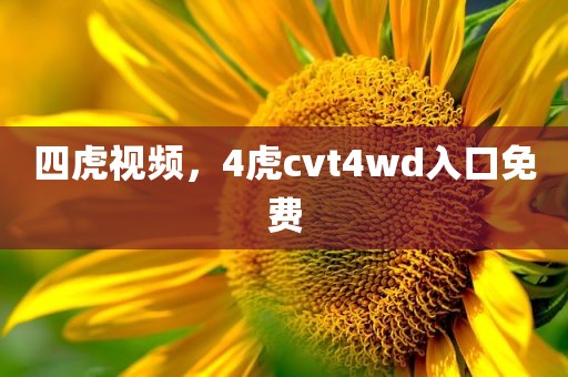四虎视频，4虎cvt4wd入口免费