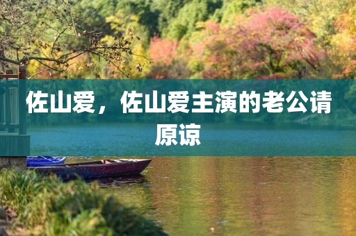佐山爱，佐山爱主演的老公请原谅