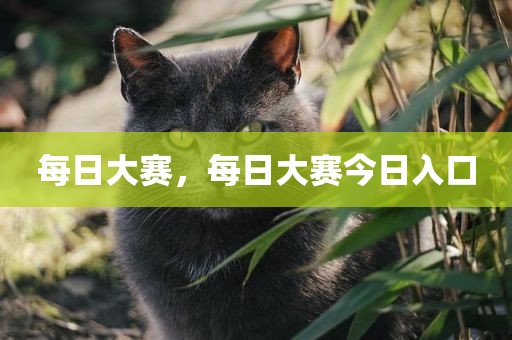 每日大赛，每日大赛今日入口