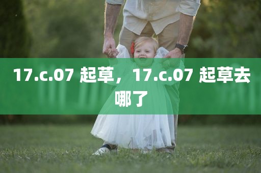 17.c.07 起草，17.c.07 起草去哪了