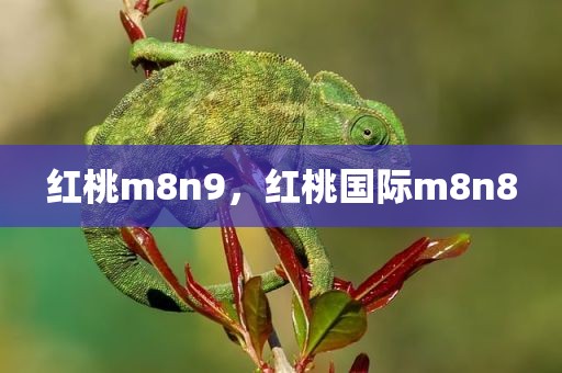 红桃m8n9，红桃国际m8n8