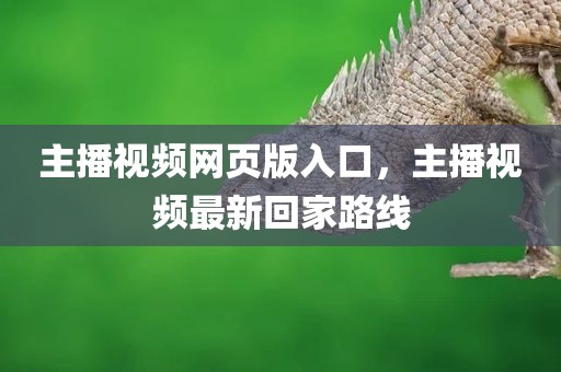主播视频网页版入口，主播视频最新回家路线