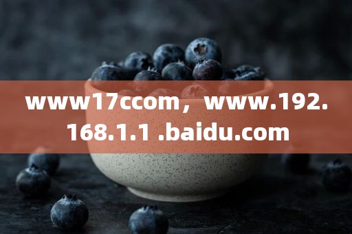 www17ccom，www.192.168.1.1 .baidu.com