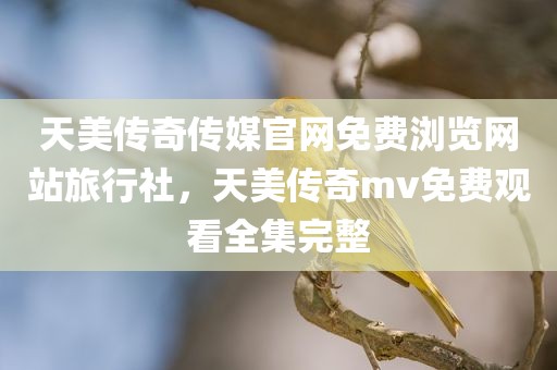 天美传奇传媒官网免费浏览网站旅行社，天美传奇mv免费观看全集完整
