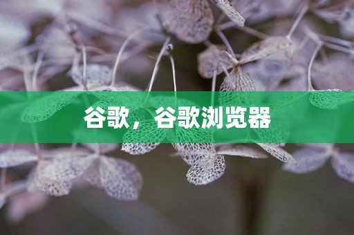 谷歌，谷歌浏览器